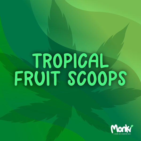 IMG_3267 Tropical Fruit scoops