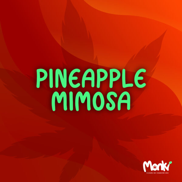 Pineapple Mimosa