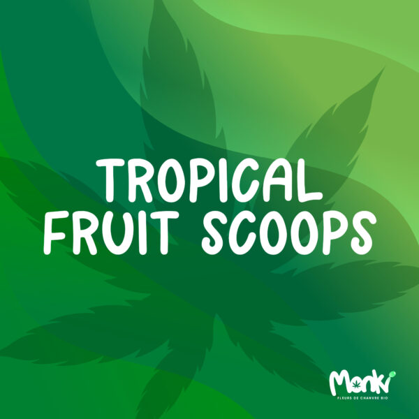 Tropical Fruit scoops